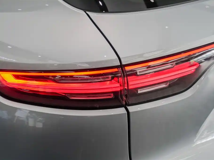 Porsche Cayenne 2021 — фото 19