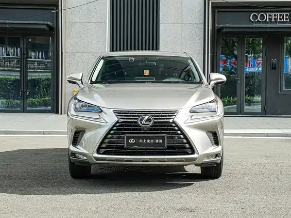 Lexus NX 2020