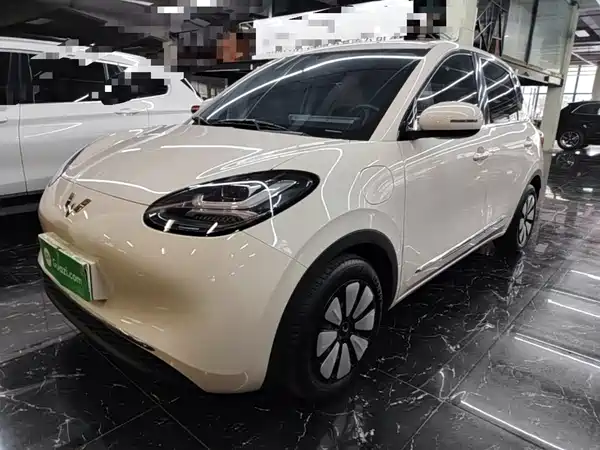 Wuling Bingo 2024