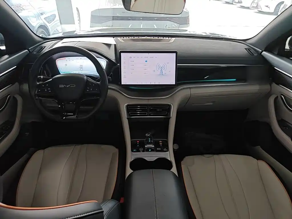 BYD Song PLUS New Energy 2024 — фото 10