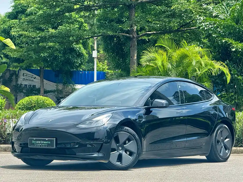 Tesla Model 3 2021 — фото 1