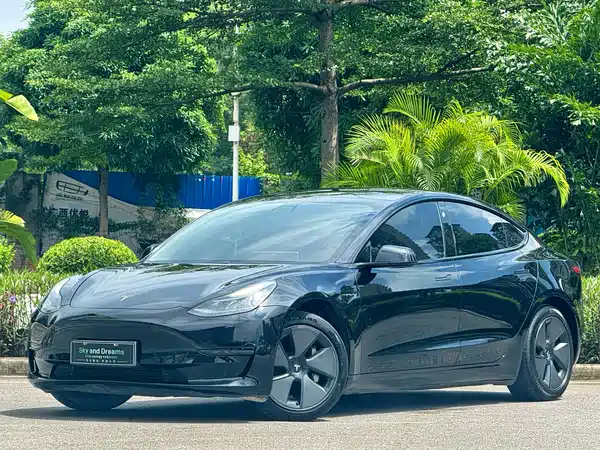 Tesla Model 3 2021