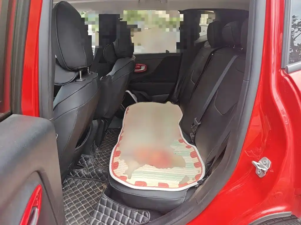 Jeep Renegade 2018 — фото 15