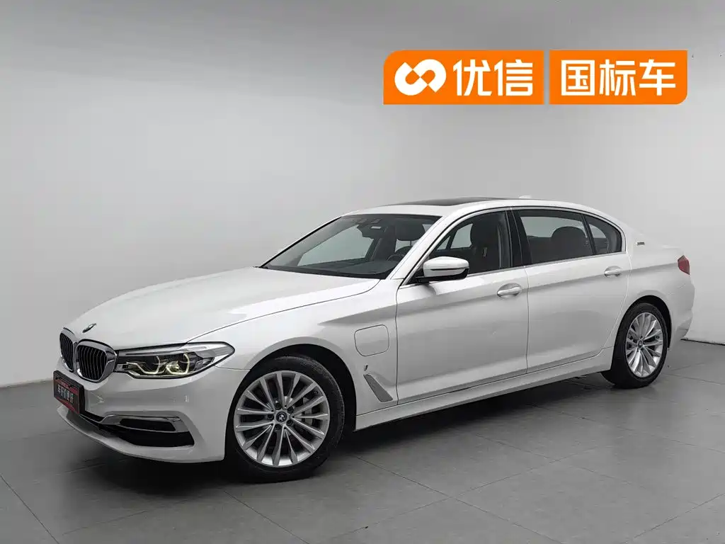 BMW 5 Series New Energy 2019