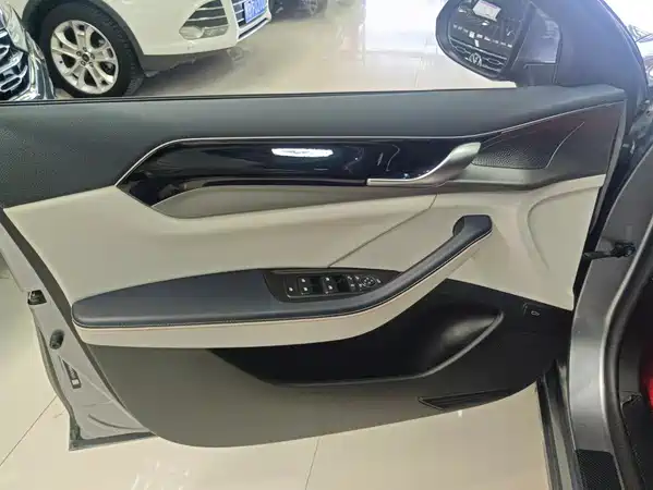 BYD Qin PLUS 2021