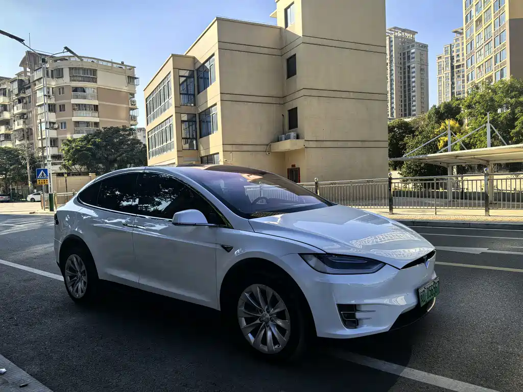 Tesla Model X 2018 — фото 2