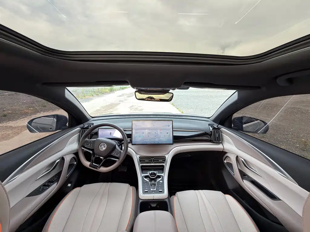 BYD Pro New Energy 2023 — фото 10