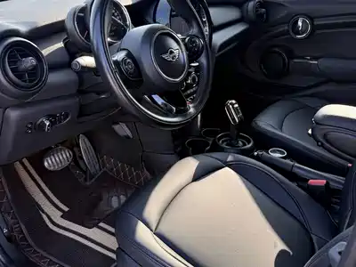 MINI MINI 2018