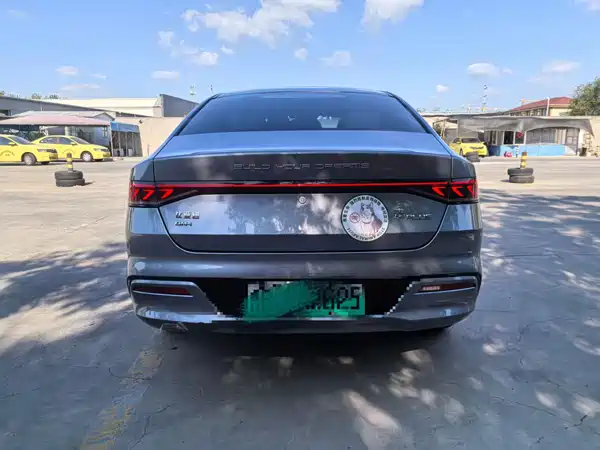 BYD Qin PLUS 2021