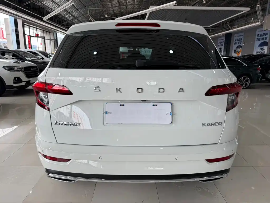 Skoda Karoq 2023 — фото 12