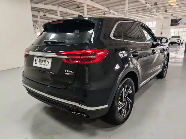 Hongqi HS5 2023