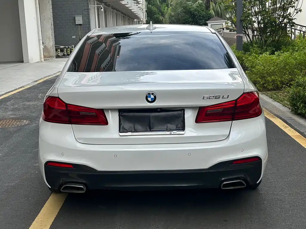 BMW 5 Series 2019