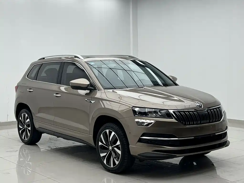 Skoda Karoq 2023 — фото 3
