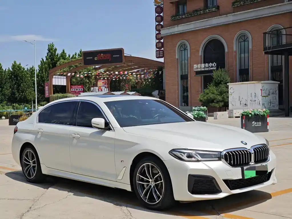 BMW 5 Series New Energy 2021