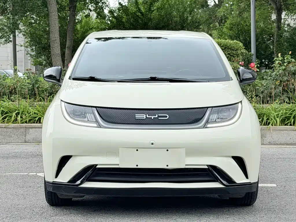 BYD Dolphin 2023