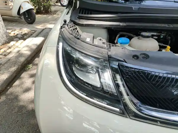 BYD Dolphin 2023
