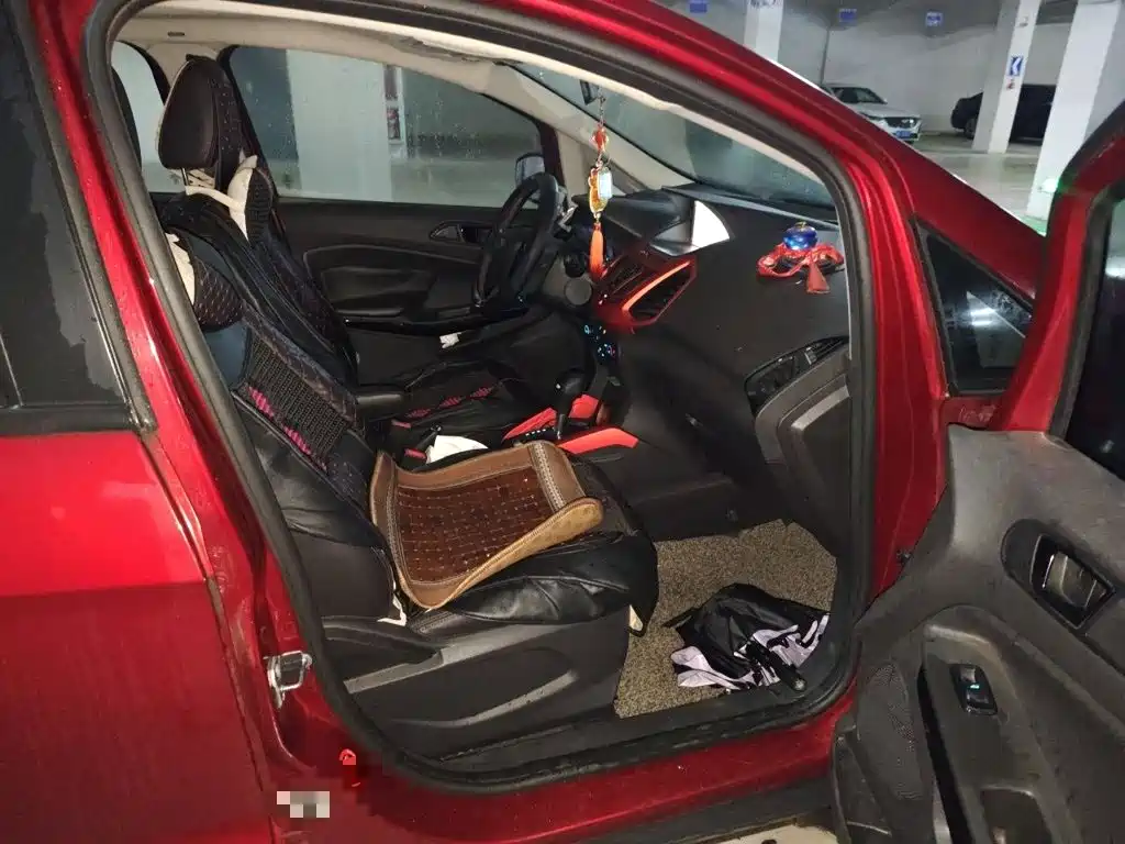 Ford Ecosport 2017 — фото 20