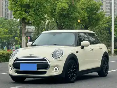 MINI MINI 2020