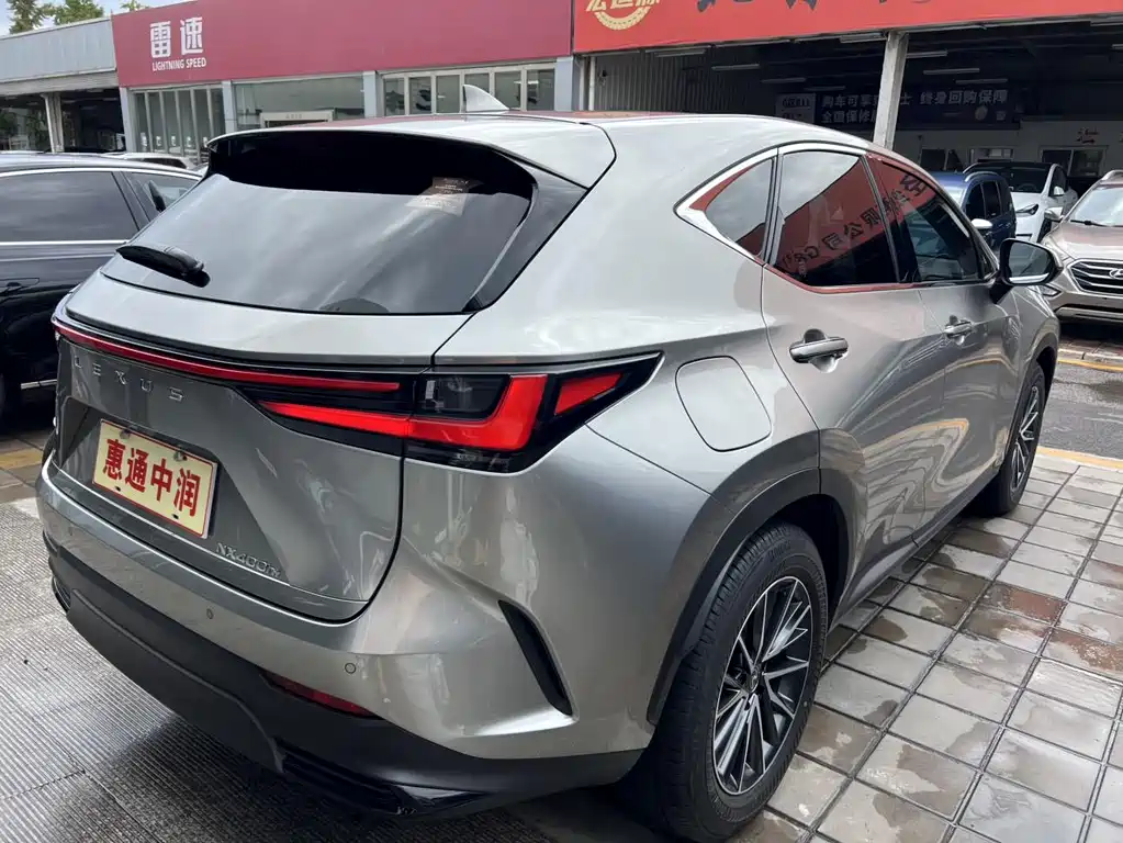 Lexus NX New Energy 2024 — фото 6