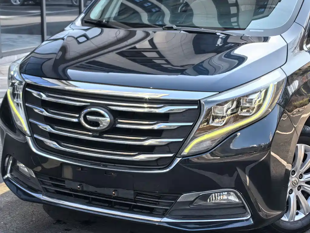 GAC Motor Trumpchi M8 2018 — фото 8