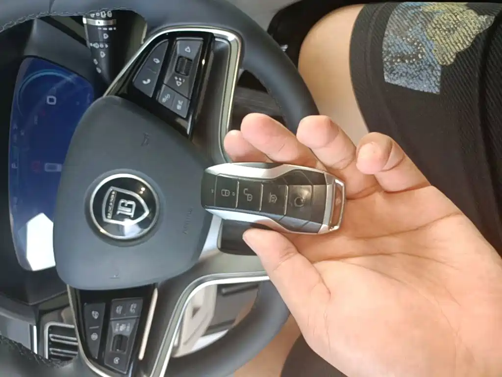 BYD Song PLUS New Energy 2021 — фото 9