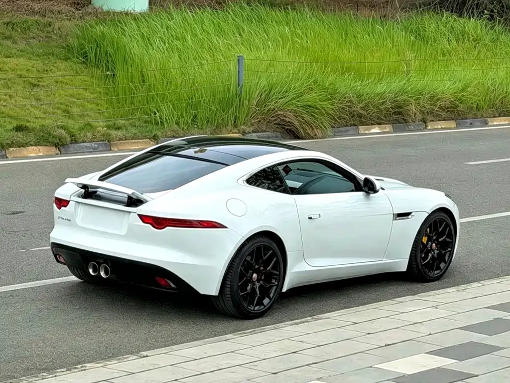 Jaguar F-TYPE 2015 — фото 9