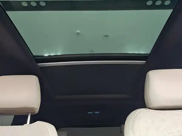 BYD Tang New Energy 2024