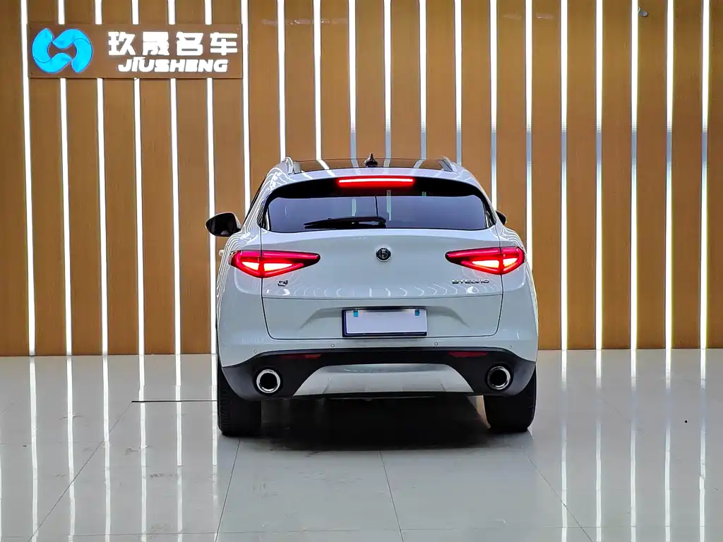Alfa Romeo Stelvio 2019 — фото 17
