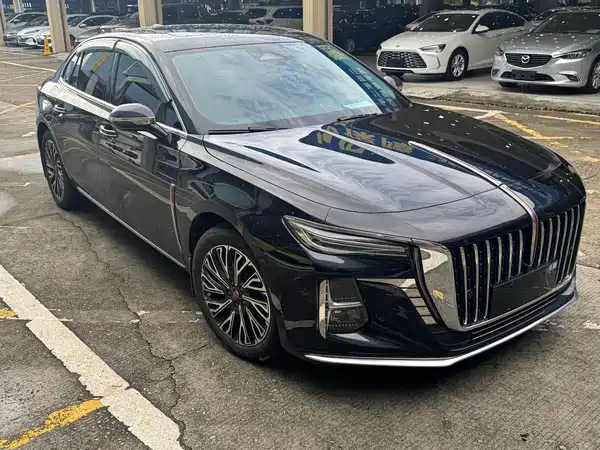 Hongqi H5 2024