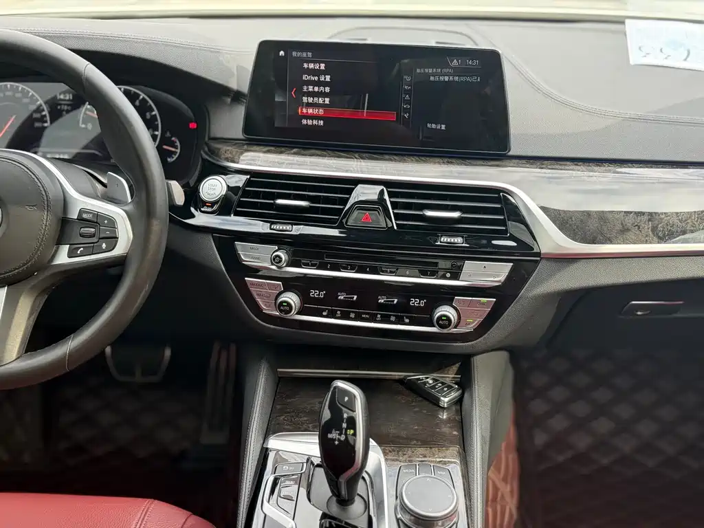 BMW 5 Series 2019 — фото 13