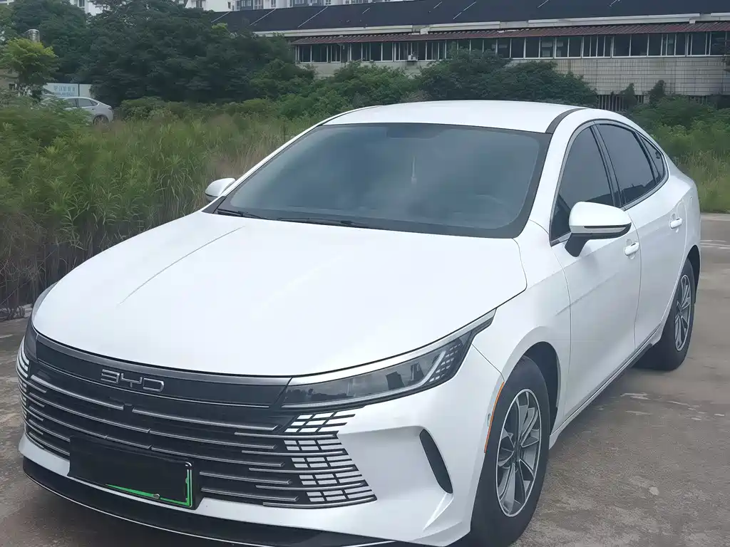 BYD Destroyer 05 2024