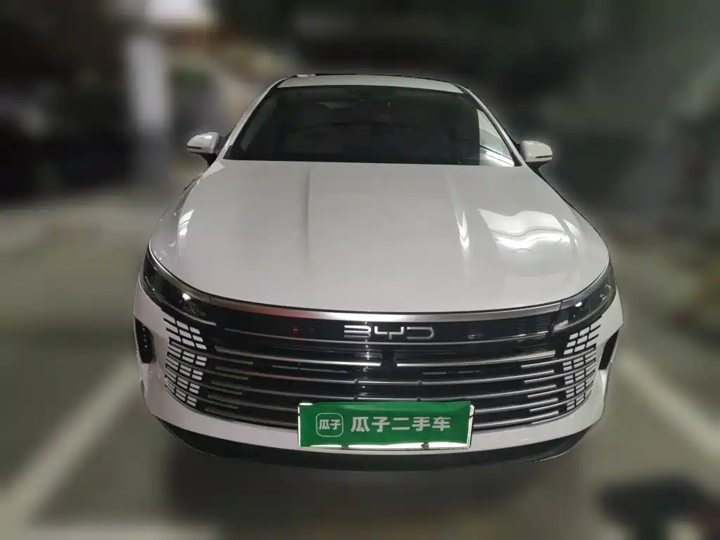 BYD Destroyer 05 2025 — фото 2