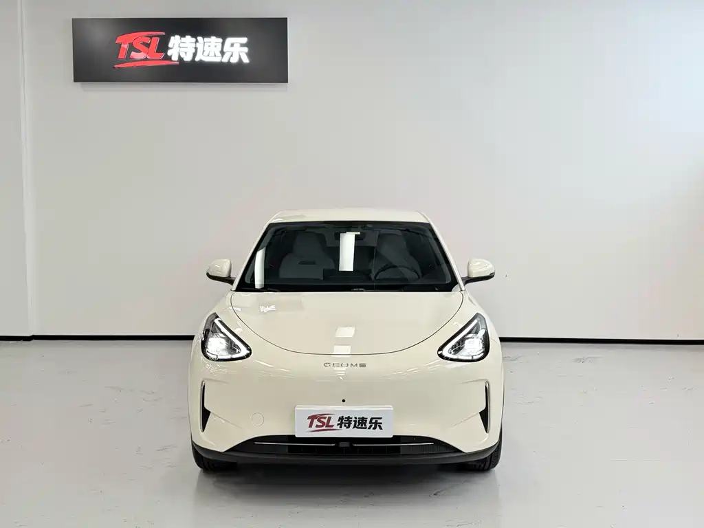 Geely Galaxy Starwish 2024 — фото 2