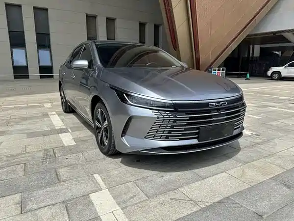 BYD Destroyer 05 2024