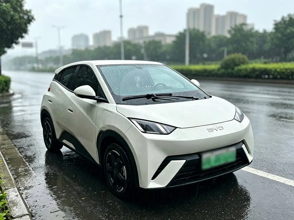 BYD Seagull 2023