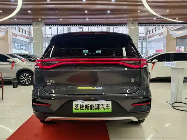 BYD Tang New Energy 2024
