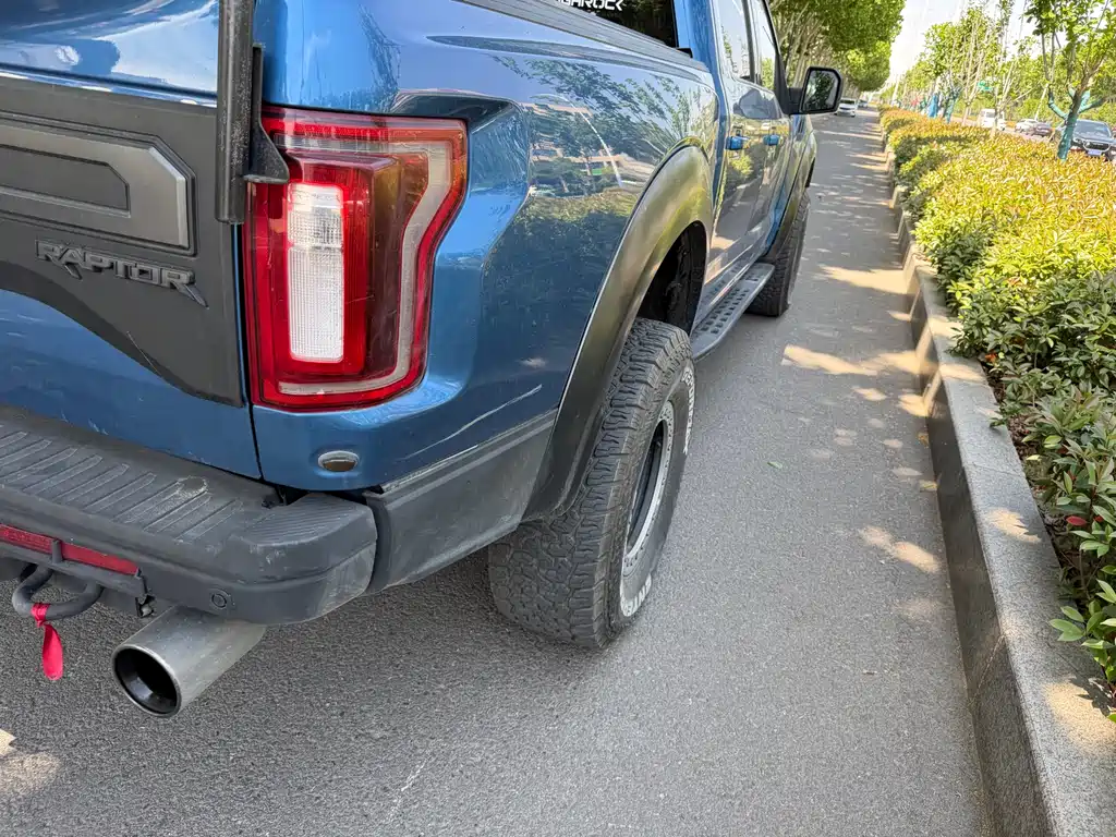Ford F-150 Raptor 2020 — фото 13