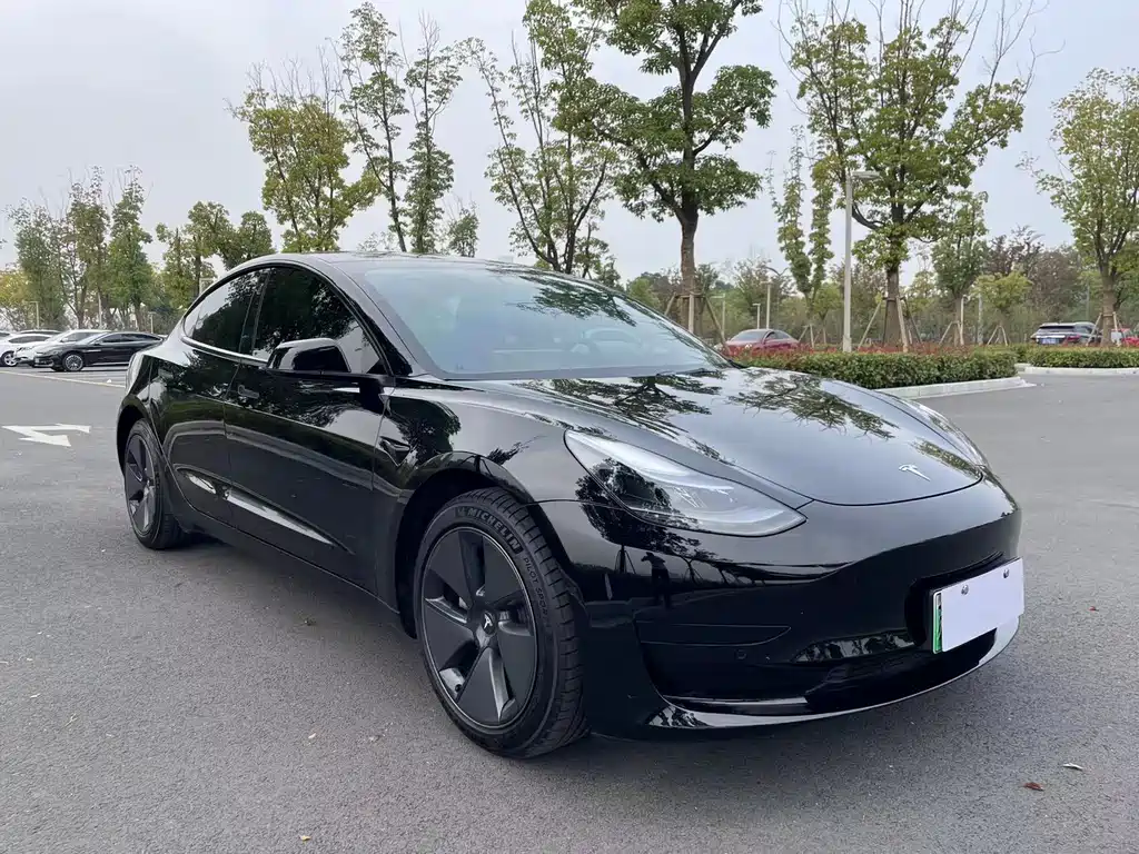 Tesla Model 3 2023 — фото 3