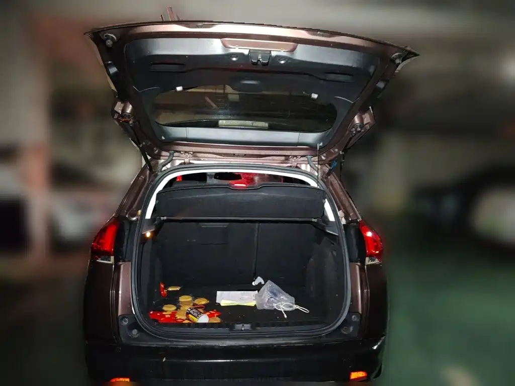 Peugeot 2008 2015 — фото 16