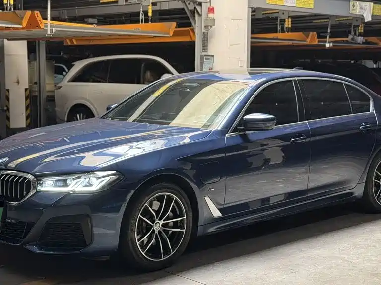 BMW 5 Series New Energy 2020 — фото 1