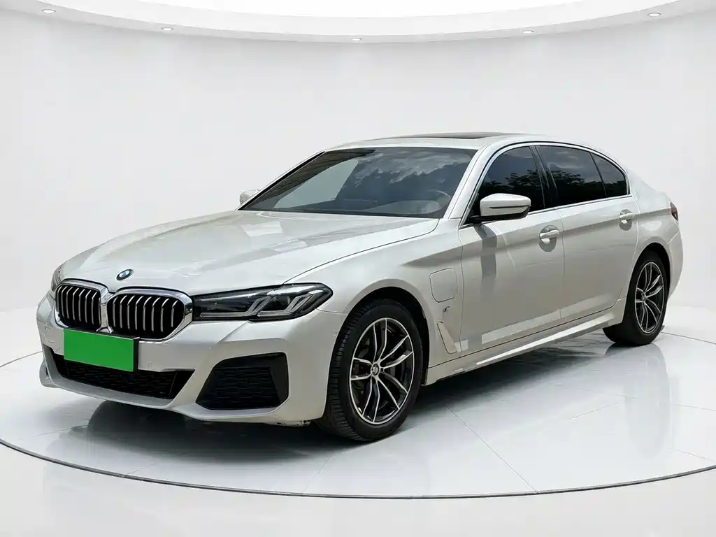BMW 5 Series New Energy 2021
