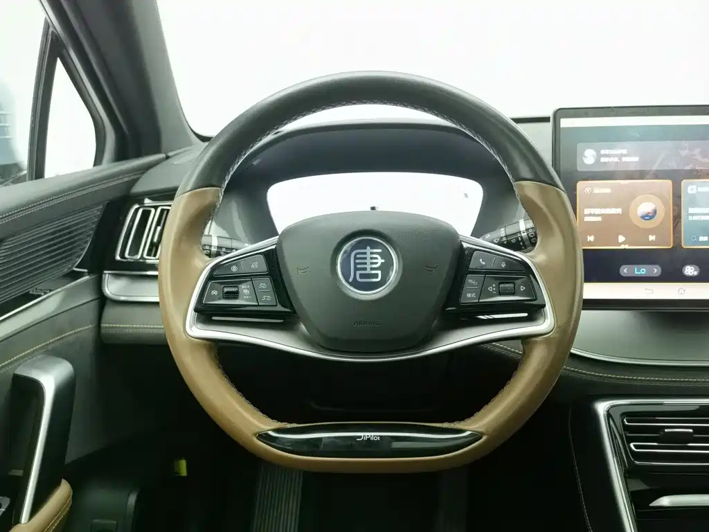 BYD Tang New Energy 2023 — фото 11