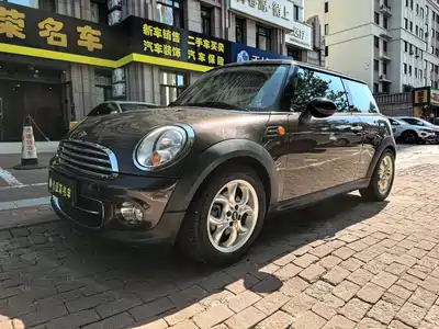 MINI MINI 2013