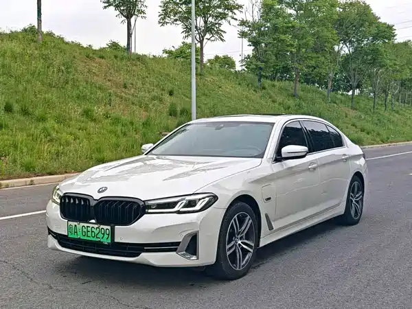 BMW 5 Series New Energy 2022