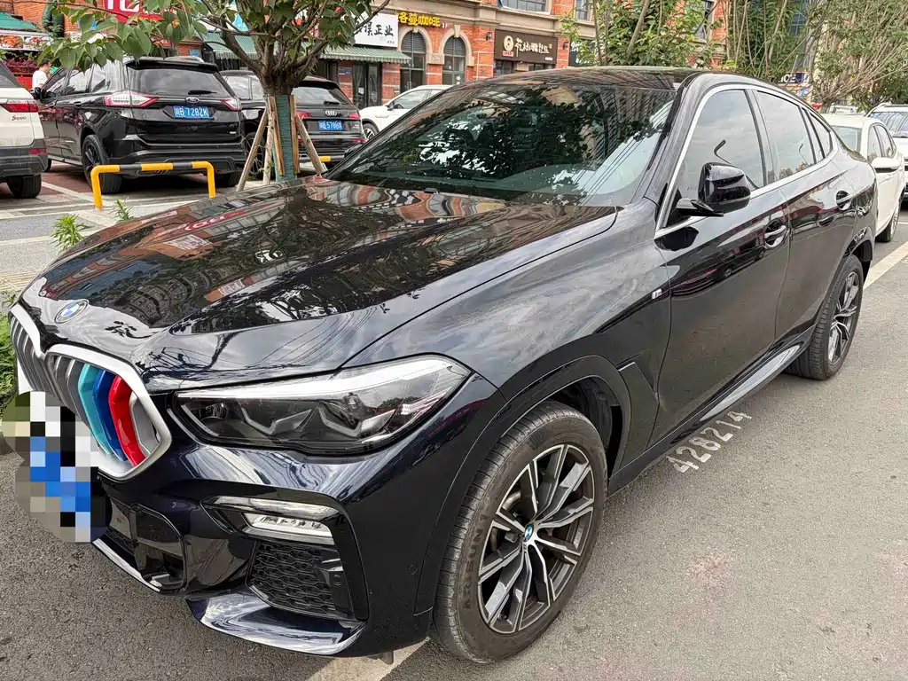BMW X6 2022