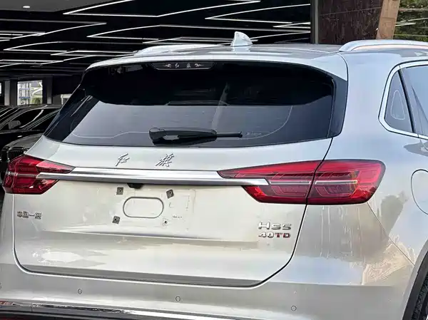 Hongqi HS5 2020
