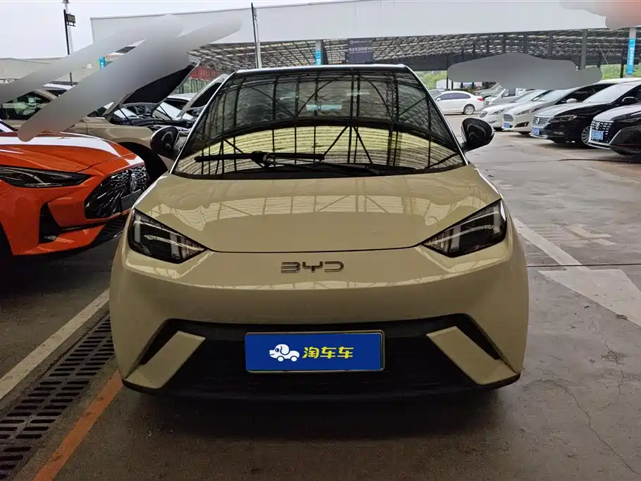 BYD Seagull 2024