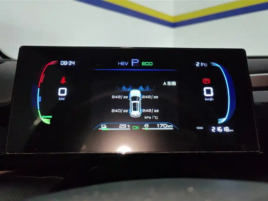 BYD Pro New Energy 2024 — фото 14