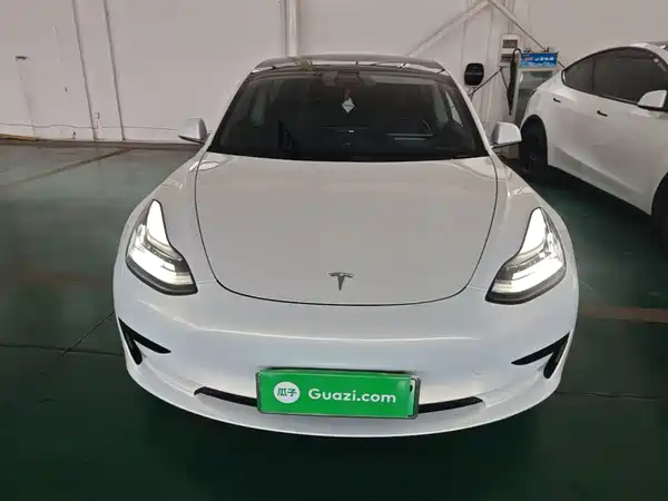 Tesla Model 3 2019