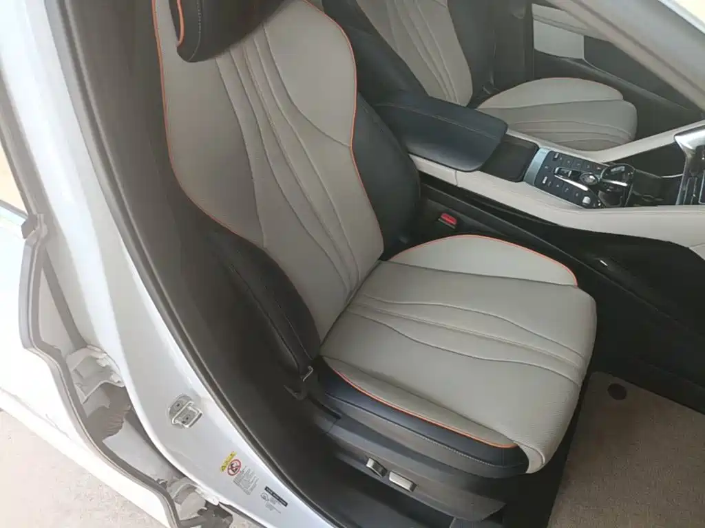BYD Song PLUS New Energy 2021 — фото 25